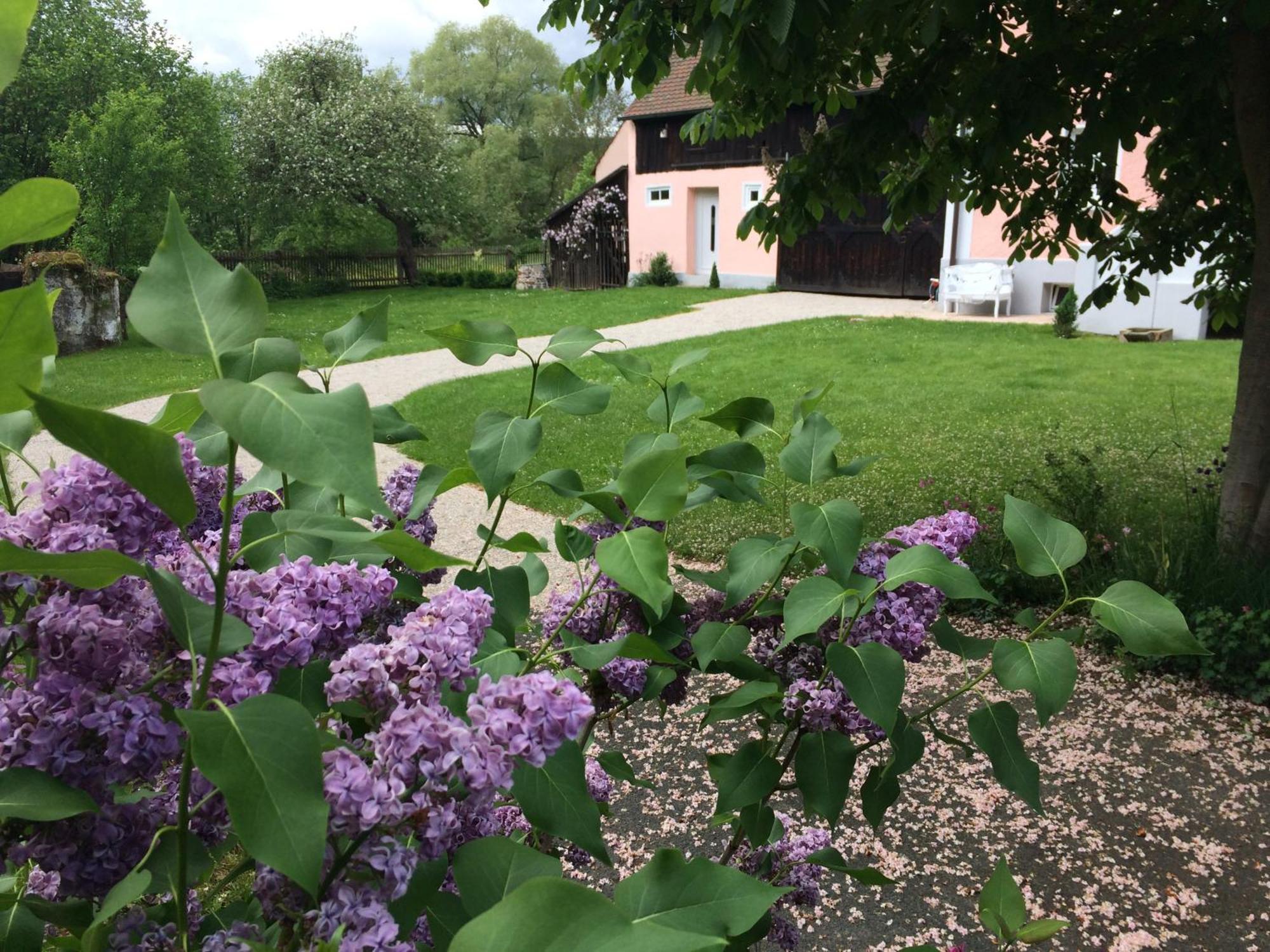 Landhaus Am Schloss Schnabelwaid Eksteriør billede